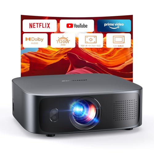 Amazon.co.jp: 【1.1:1短焦点・Netflix公式ライセンス】iSinbox