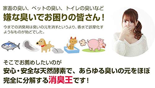 Amazon.co.jp: 消臭王GT－S 液体 ・ 無臭 500ml これぞ本物