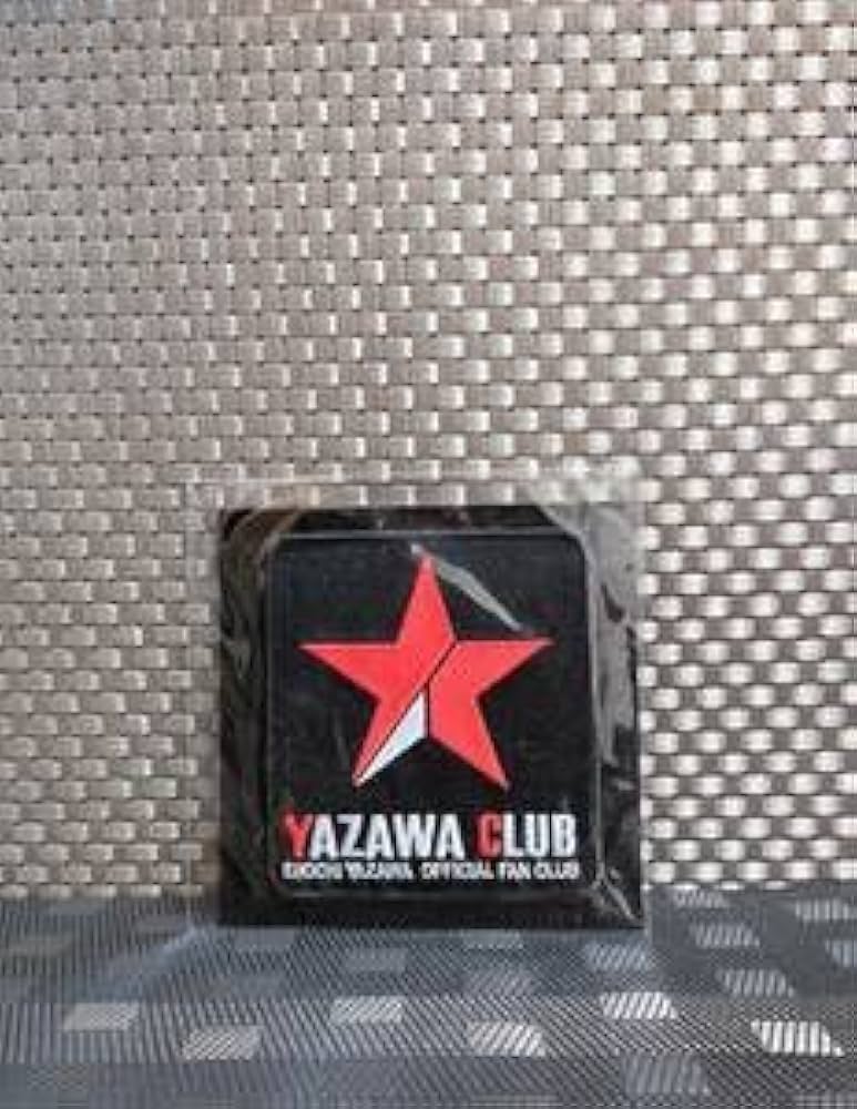 Amazon.co.jp: 矢沢永吉 アイロン ワッペン ／ 刺繍 YAZAWA CLUB 継続
