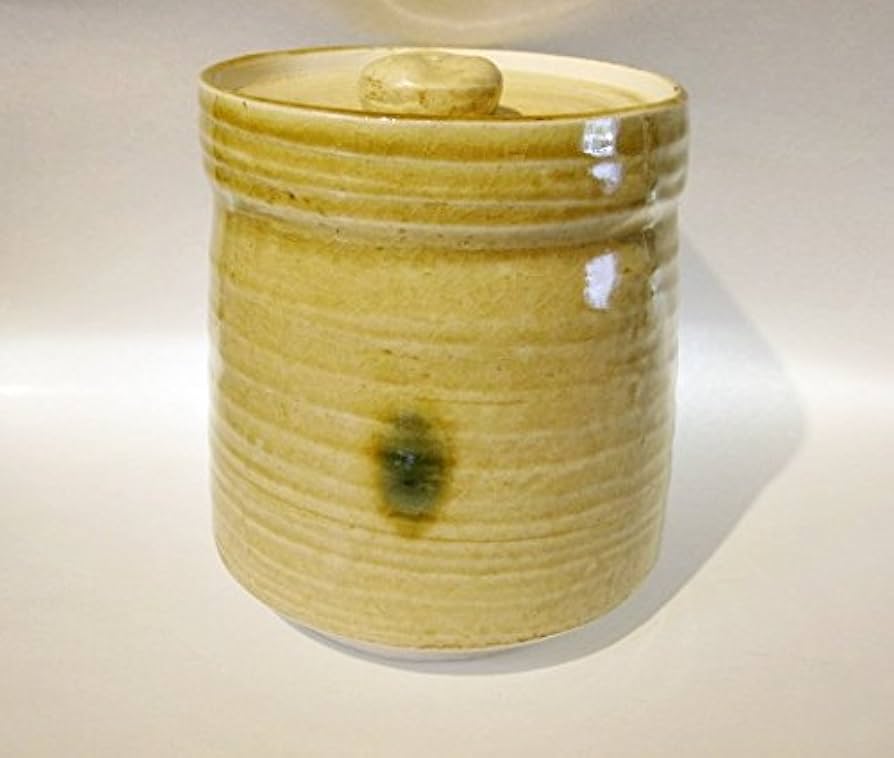 41ScqigkN2L._AC_UF894,