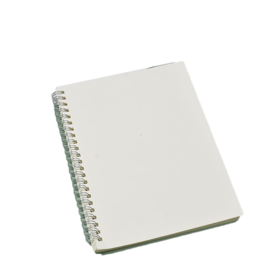 Amazon | QQZSG リングノート a5 リングノート a5 50枚 横罫線入り 100