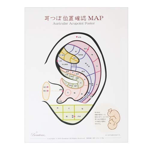 Amazon | Beauter 耳つぼポスター 位置確認 初心者向け カラー