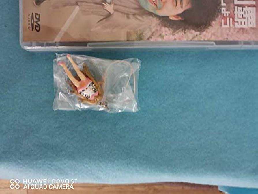 Amazon.co.jp: 水曜どうでしょうDVD第20弾『原付西日本制覇/今世紀最後