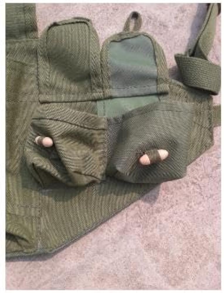 Amazon.co.jp: 56式 AK チェストリグ サバゲー タクティカルベスト