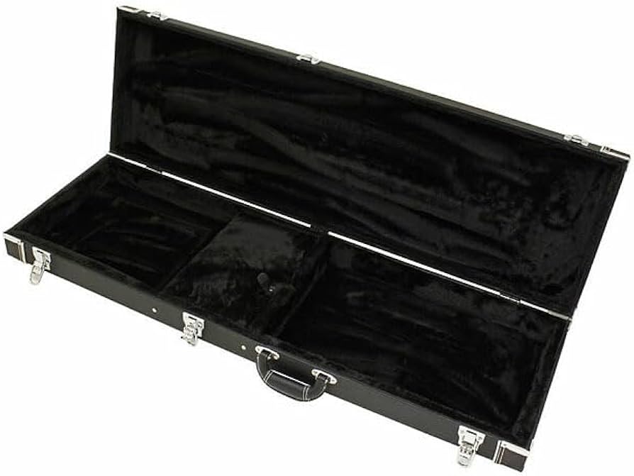 Amazon | エレキギター用 ハードケース ARIA アリア CG-150EG 【Ebi