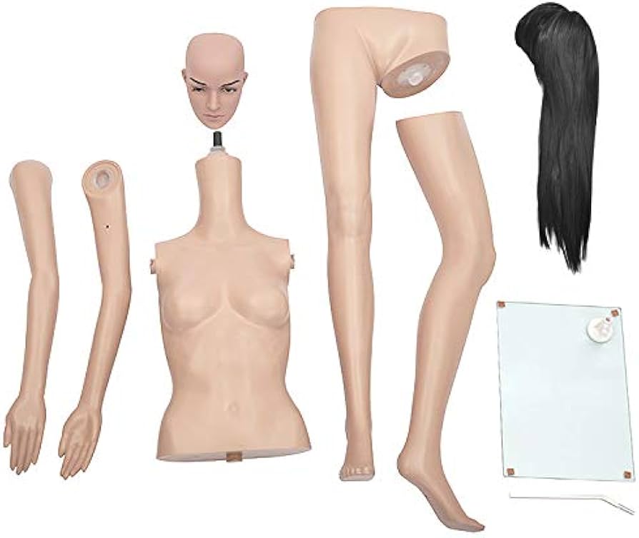 Amazon.co.jp: [ダイセイ]マネキン 全身マネキン レディース 176