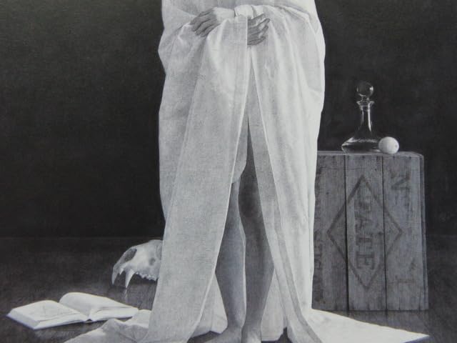 Amazon.co.jp: 三浦明範、PENTAGON、な額装用画集より、額装付、状態