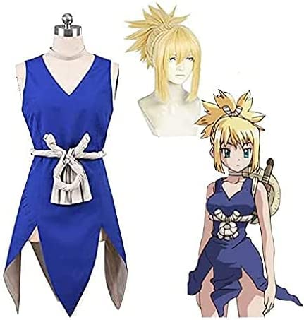 Amazon.co.jp: ドクターストーン Dr.STONE 琥珀 コスプレ衣装 ウィッグ