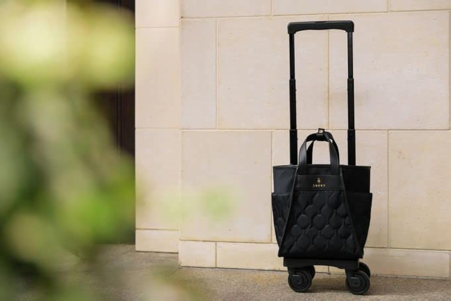 Amazon.co.jp: [Swany] [スワニー] キャリーバッグ D-589 プーフォ