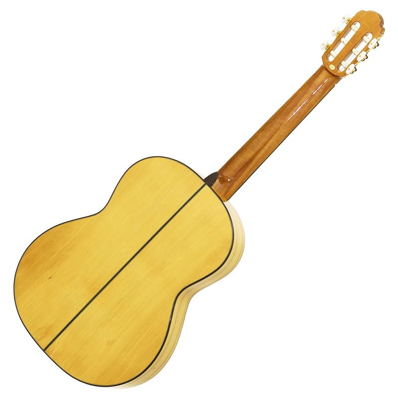 Amazon.co.jp: ARIA アリア フラメンコギター ソフトケース付 A-100F