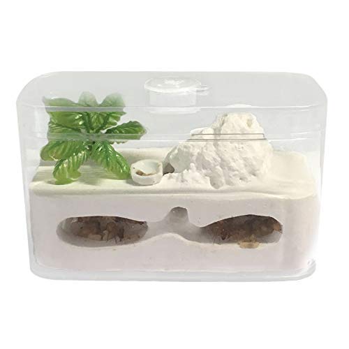 Amazon | Umora アリ飼育キット 石膏製巣箱 アリ観察キット アリ城