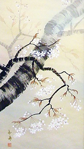 Amazon.co.jp: 舟越長嘉 『桜之図』 掛軸（尺五立） : ホーム＆キッチン
