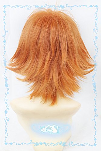 Amazon.co.jp: 耐熱コスプレウィッグ ズートピア Zootopia ニック