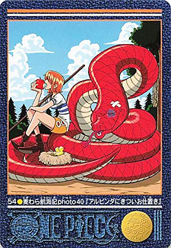 Amazon.co.jp: ワンピース ビジュアルアドベンチャー 麦わら航海記