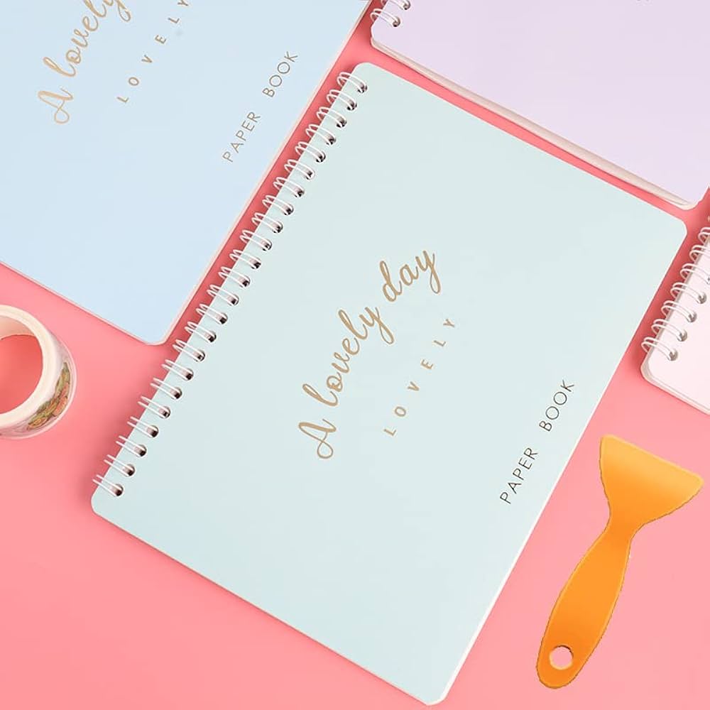 Amazon | A5 両面剥離タイプ シール帳 収集アルバム 再利用可能