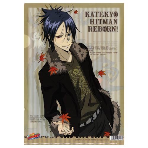 Amazon.co.jp: 家庭教師ヒットマンREBORN! リボーン＆沢田綱吉、六道骸