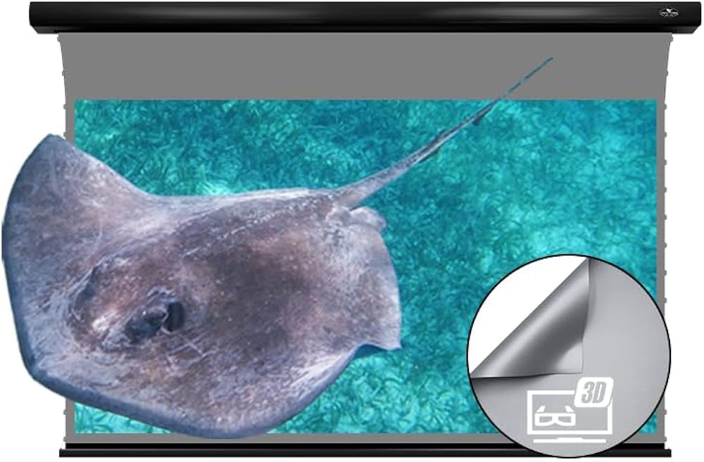 Amazon | プロジェクター 長焦点 100インチ VIVIDSTORM SINCE2004