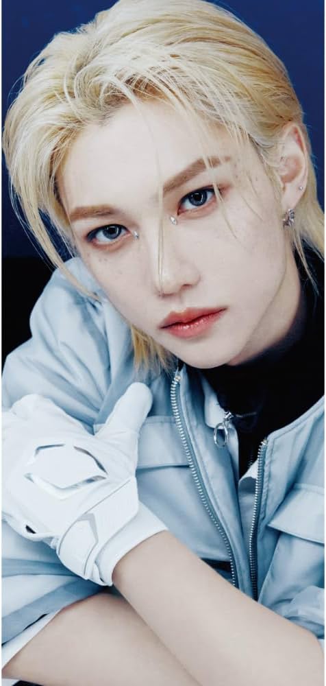 Amazon.co.jp: ストレイキッズ フィリックス パノラマポスター (Stray