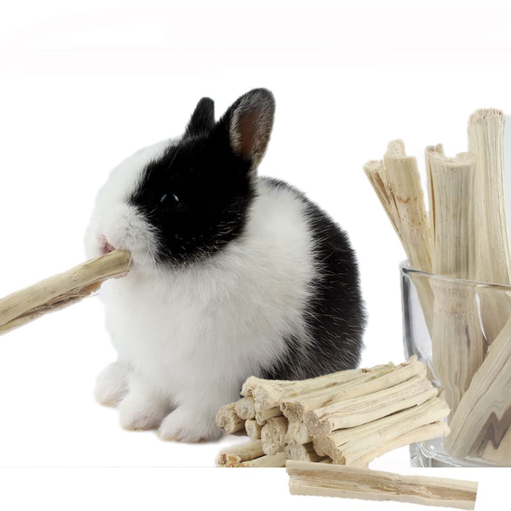 Amazon.co.jp: MUYYIKA うさぎ ハムスター 嚙むおもちゃ 甘い竹 かじり