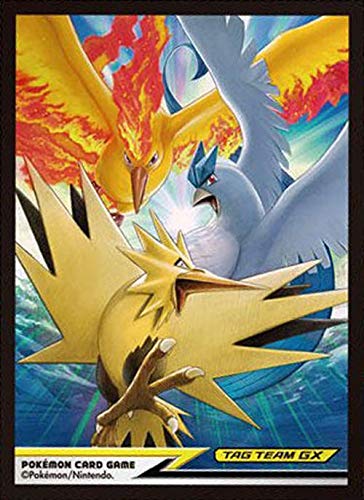 Amazon.co.jp: ポケモンカードゲーム デッキシールド ファイヤー