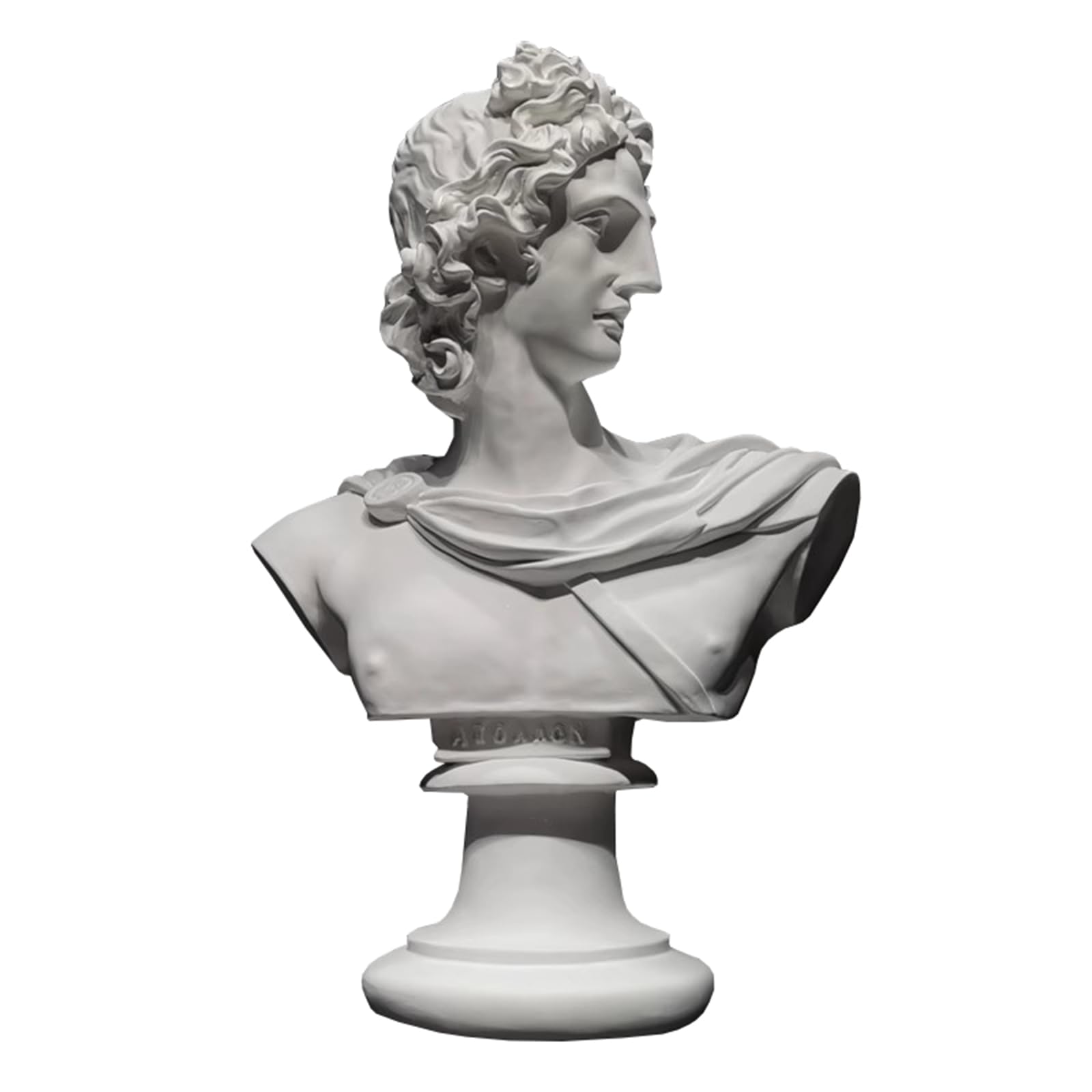 Amazon.co.jp: アポロバスト、樹脂石膏像、モデル、彫刻、絵画