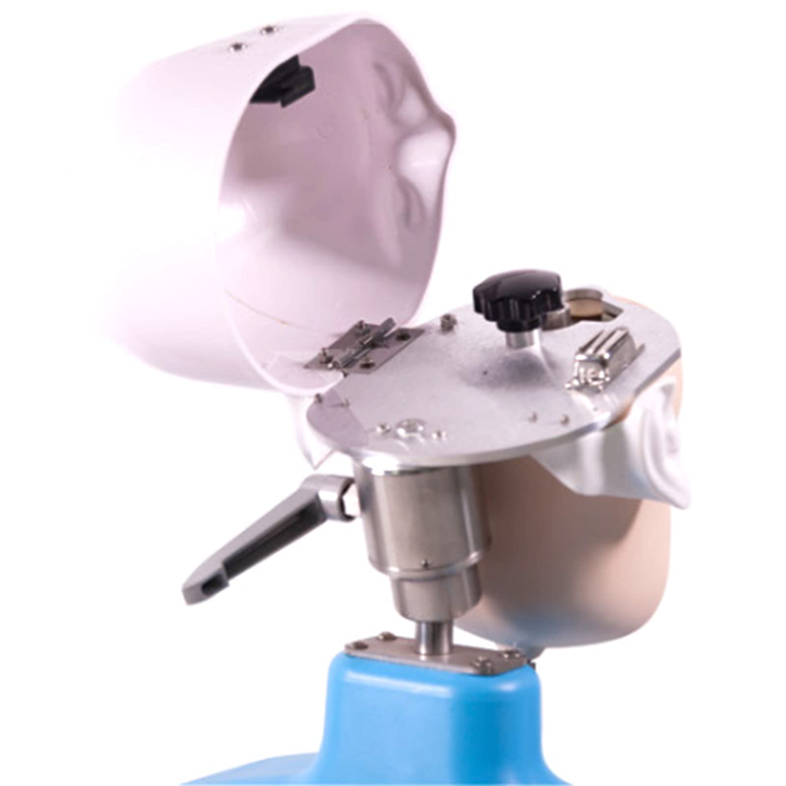 Amazon.co.jp: 歯科教育用ヘッドモデル、練習用歯科医教育用練習モデル