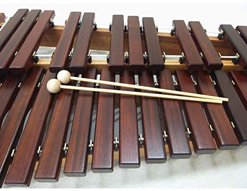 Amazon.co.jp: プレゼントに人気： 卓上木琴(シロフォン) コオロギ