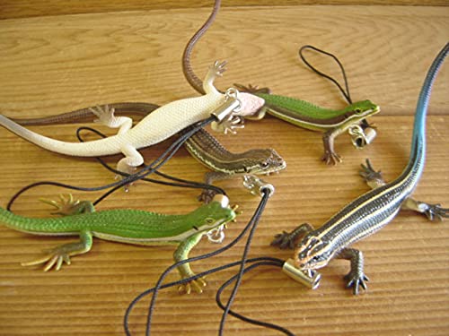 Amazon.co.jp: ♯Gti10GOネイチャーテクニカラーMONOトカゲヤモリ