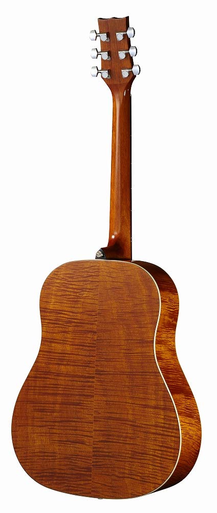 Amazon | MORRIS G-021 RBS (レッドブラウンサンバースト