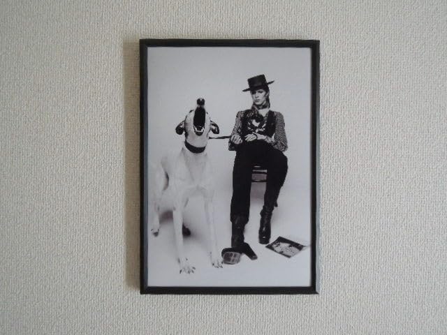 Amazon.co.jp: A4 額付き ポスター David Bowie デヴィッド・ボウイ