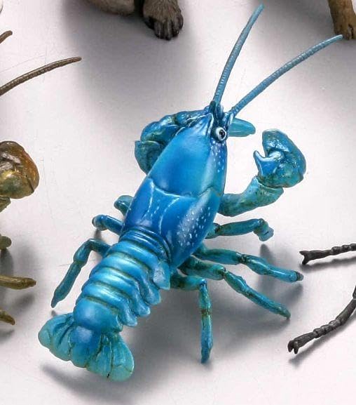 Amazon | ニホンザリガニ 青 カプセルQ 日本の動物コレクション 北限の