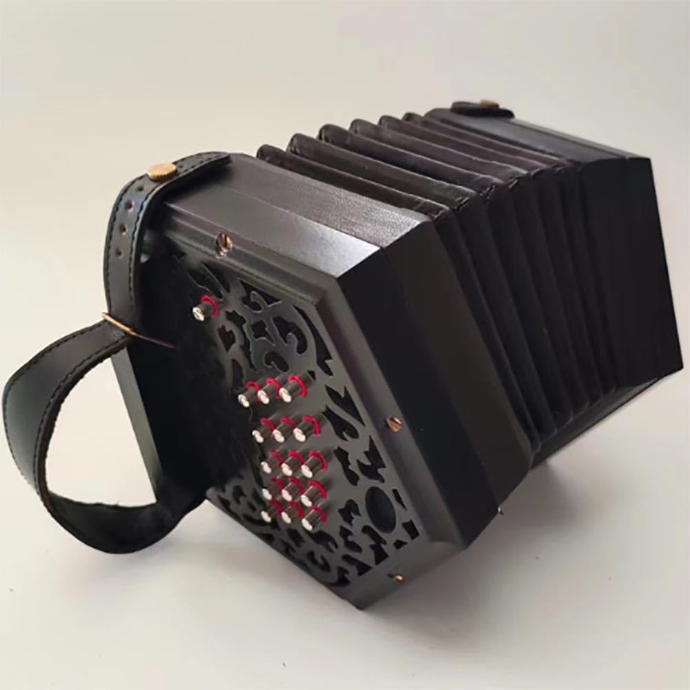 Amazon | 20キー 六角形アコーディオン 大人用 プロフェッショナル