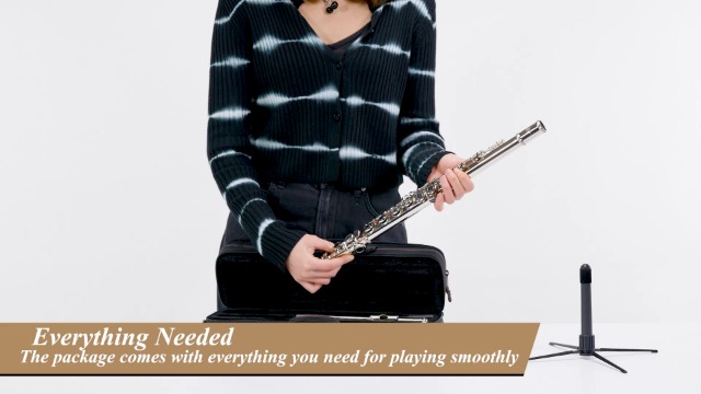 Amazon | Eastar フルート カバードキー 16穴 Eメカ付き オフセット