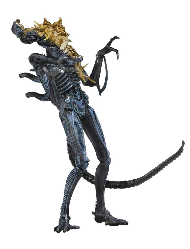 Amazon.co.jp: NECA - Aliens 7