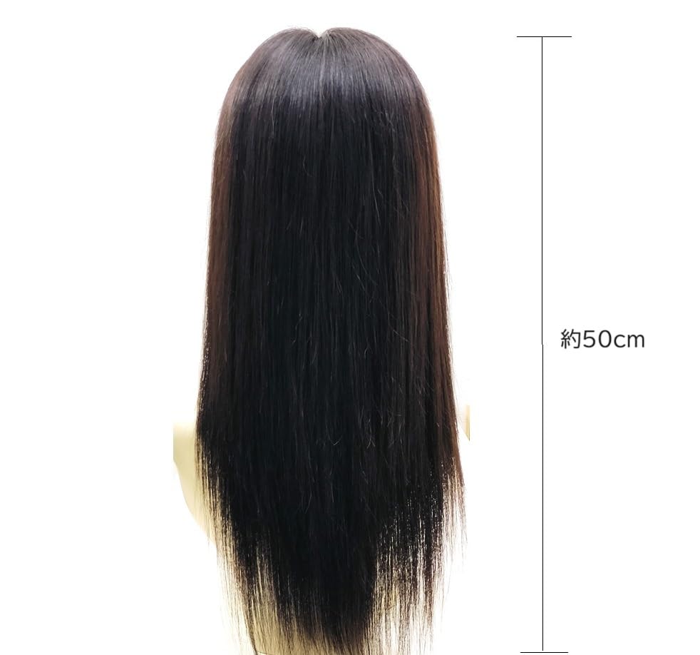 Amazon.co.jp: 総手植え全頭かつら 人毛100%EM-50001ダークブラウン L