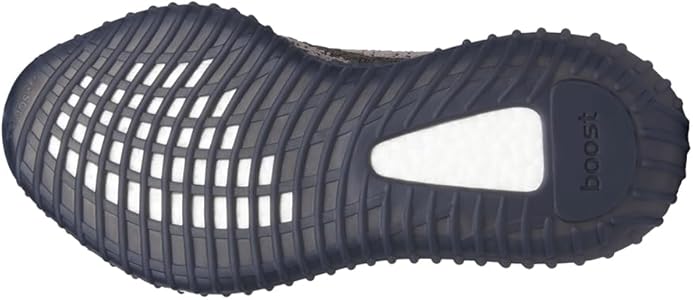 Amazon.com | adidas Yeezy Boost 350 V2 Carbon Beluga, HQ7045