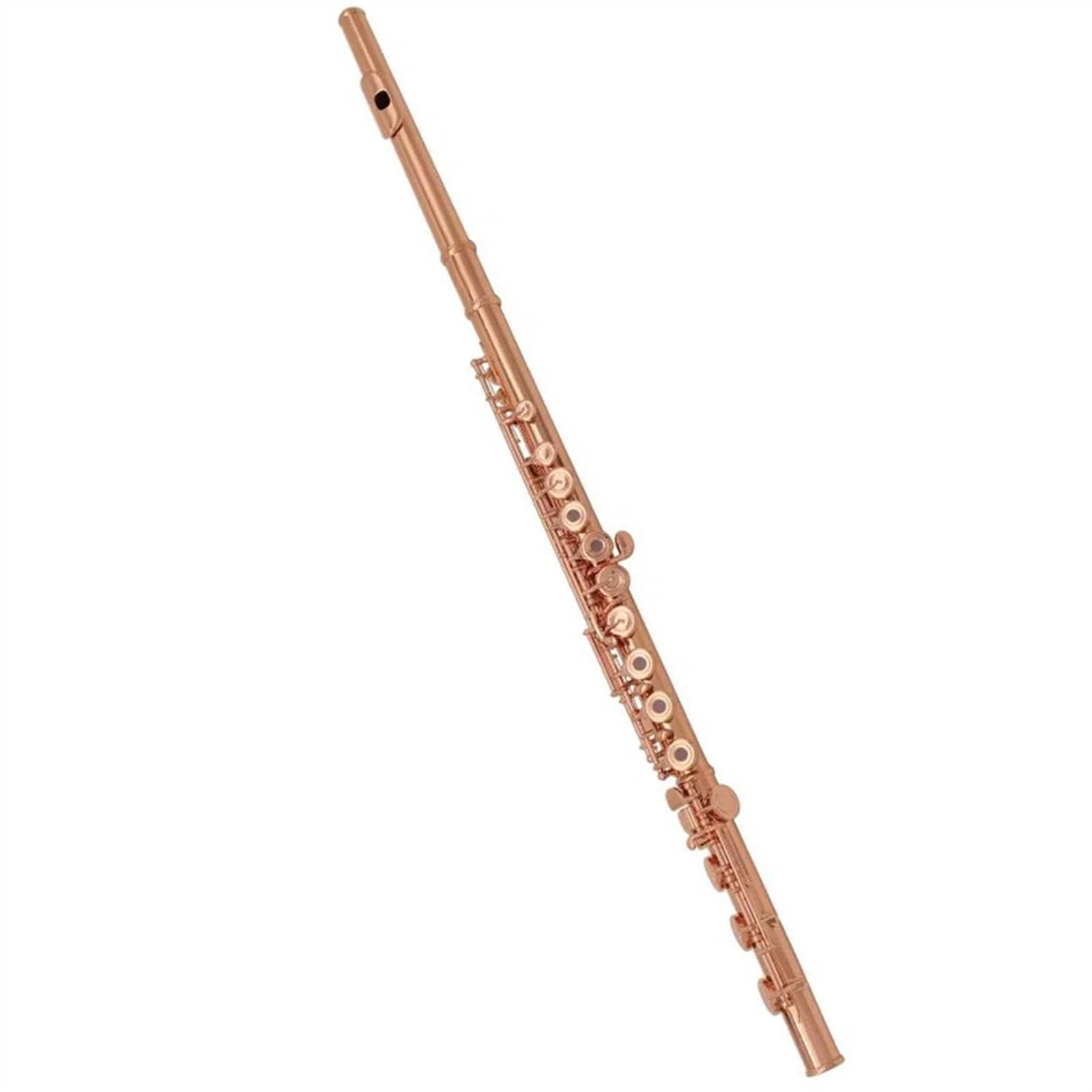 Amazon | ローズゴールドメッキフルート絶妙な楽器17穴Cキー銅ニッケル