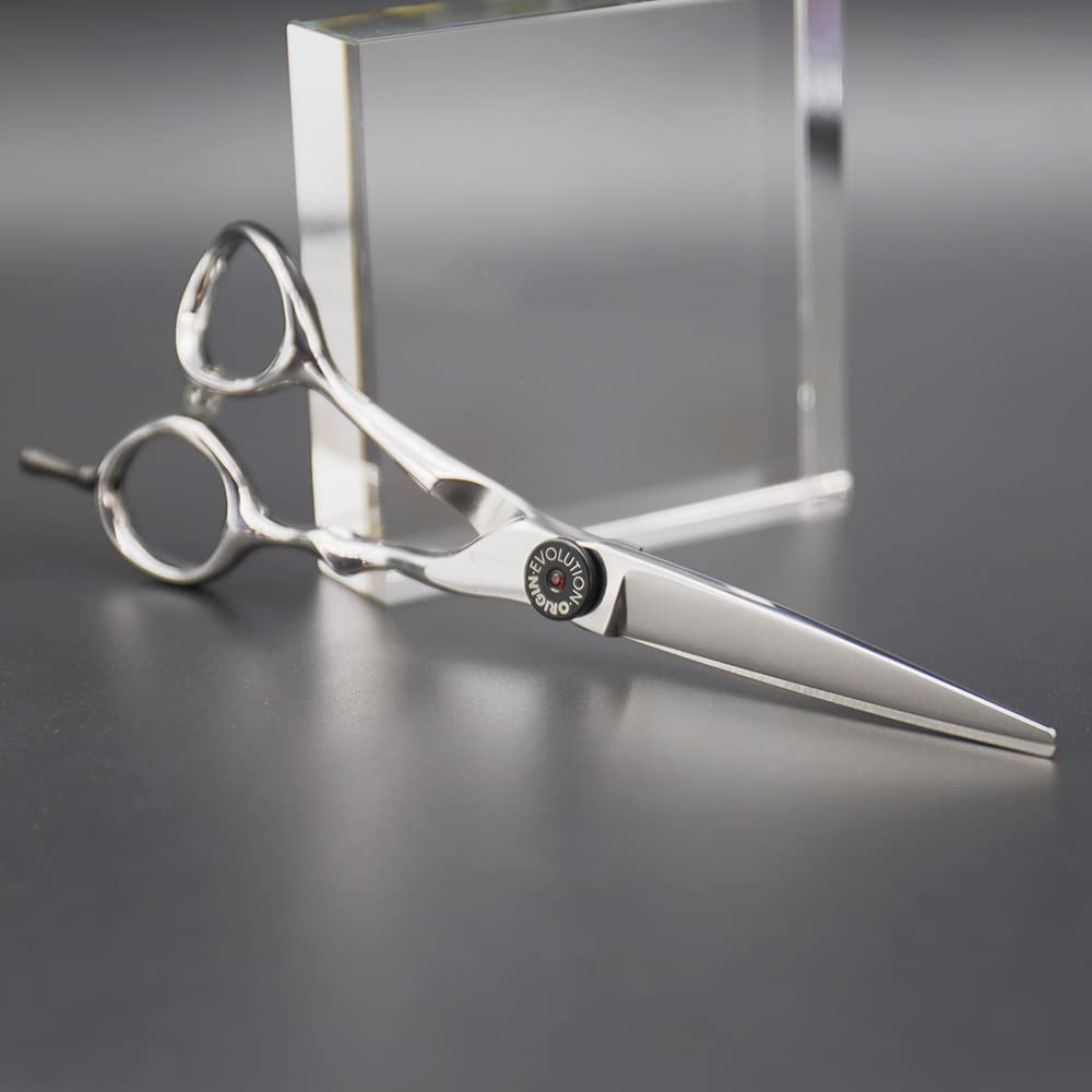 Amazon.co.jp: AOLANDUO 6インチ ヘアカットシザー - ハイエンド AICHI