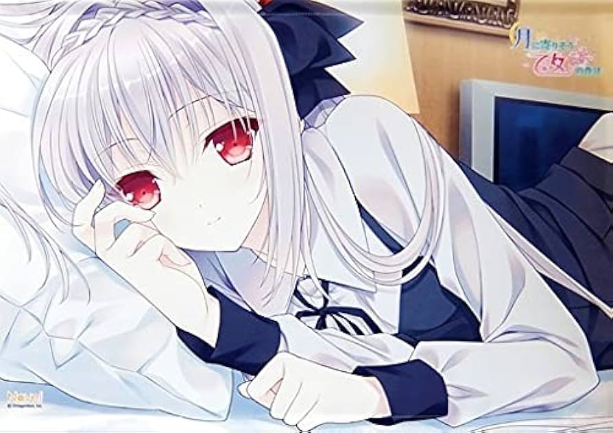 Amazon.co.jp: ルナ様 B2 Wスエード タペストリー 月に寄りそう乙女の