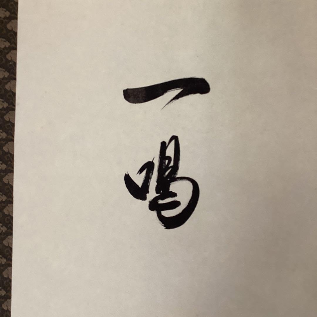 Amazon.co.jp: 赤達磨 絹本彩色画 赤達磨図 一喝賛 掛軸一幅 517 た