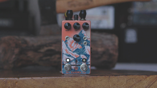 Amazon.com: Walrus Audio Kangra Filter Fuzz : Musical Instruments