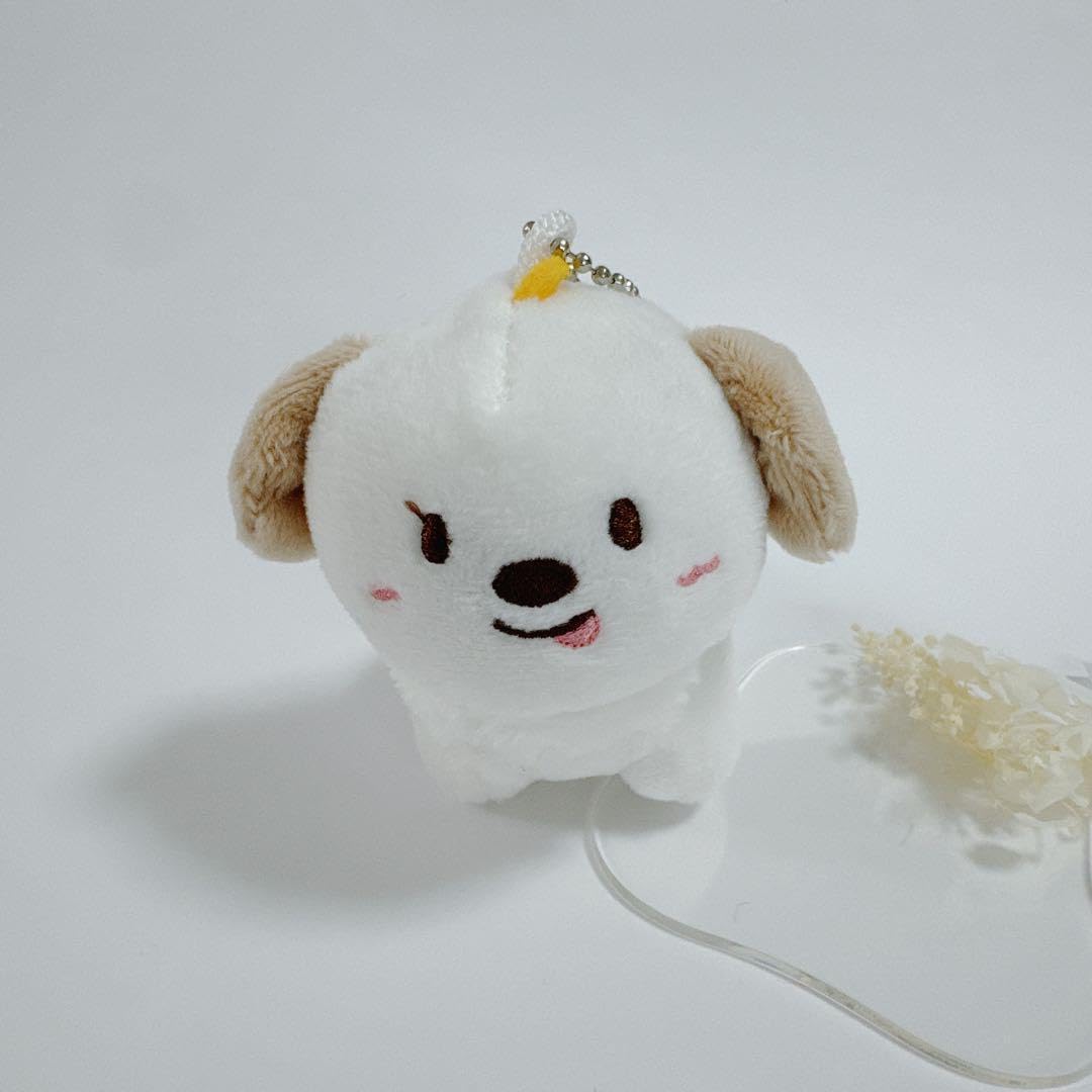 Amazon.co.jp: RIIZE アントン ANTON ぬいぐるみ キーホルダー : おもちゃ