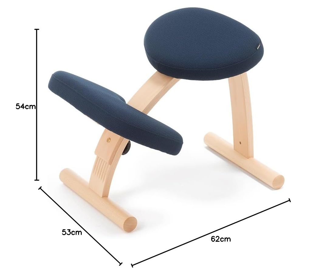 Amazon.co.jp: バランスラボ バランスイージー ショートフレーム 通常