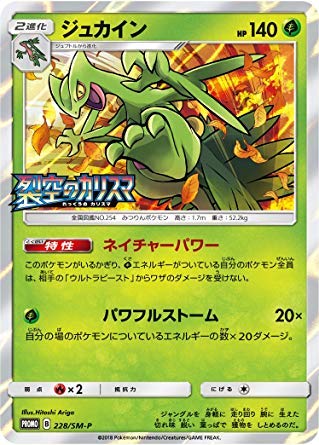 Amazon.co.jp: ポケモンカード/プロモ/ 228 / SM-P 【キラ仕様