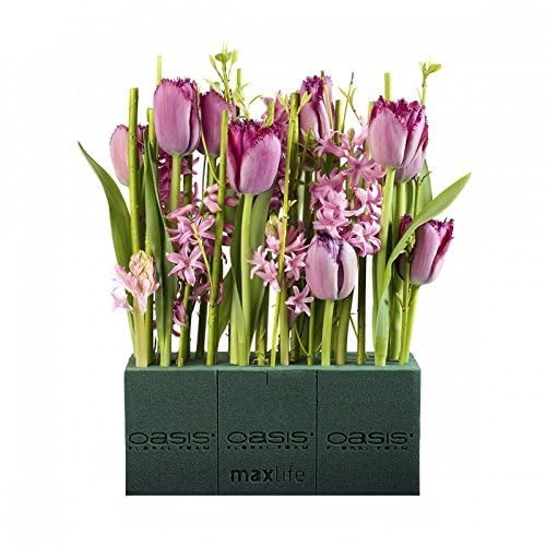 Amazon.com: Oasis Pack of 8 Standard Floral Foam Bricks. New and