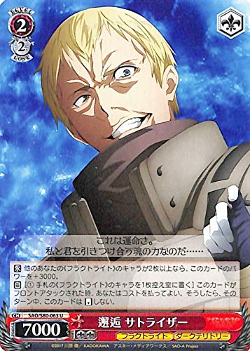 Amazon.co.jp: ヴァイスシュヴァルツ ソードアート・オンライン アリシ