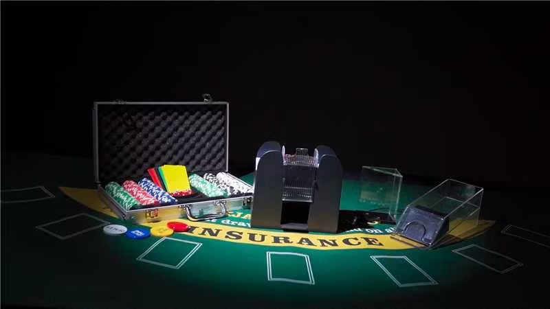 Amazon.com: Aoriher Blackjack Casino Game Set, Include 300 Poker
