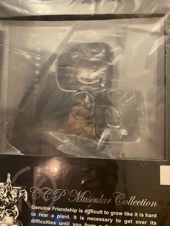 Amazon.co.jp: CCP CMC マッスルスパーク天 キン肉マンソルジャー