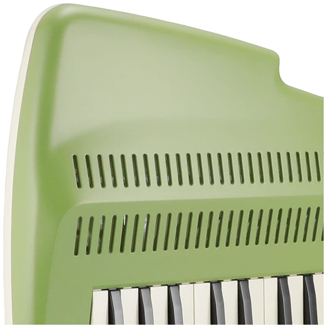 Amazon.com: Suzuki A-25F 25-Key Andes Recorder-Keyboard with