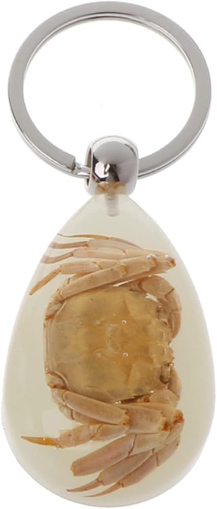 Amazon.co.jp: friendsty キーチェーン 樹脂製昆虫キーホルダー 光る